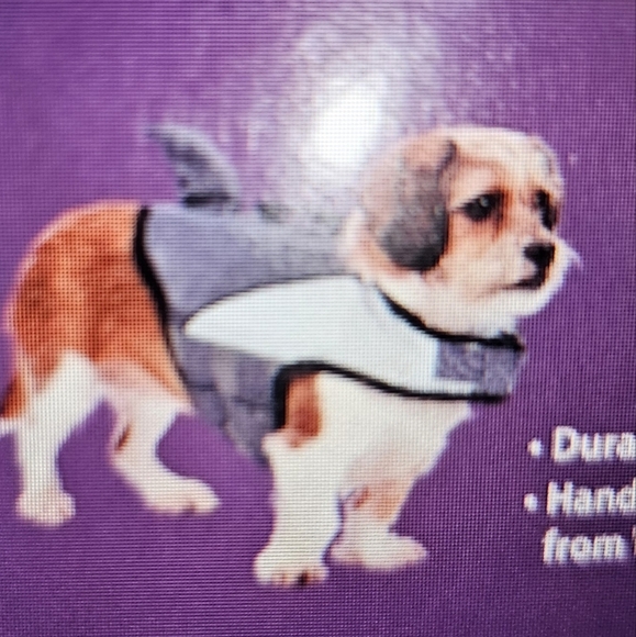 Heart to Tail Pet Flotation Aid with a shark fin!  Size XS 5-15lbs - Picture 1 of 9